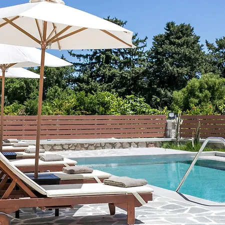 Villa Oasis Luxury *